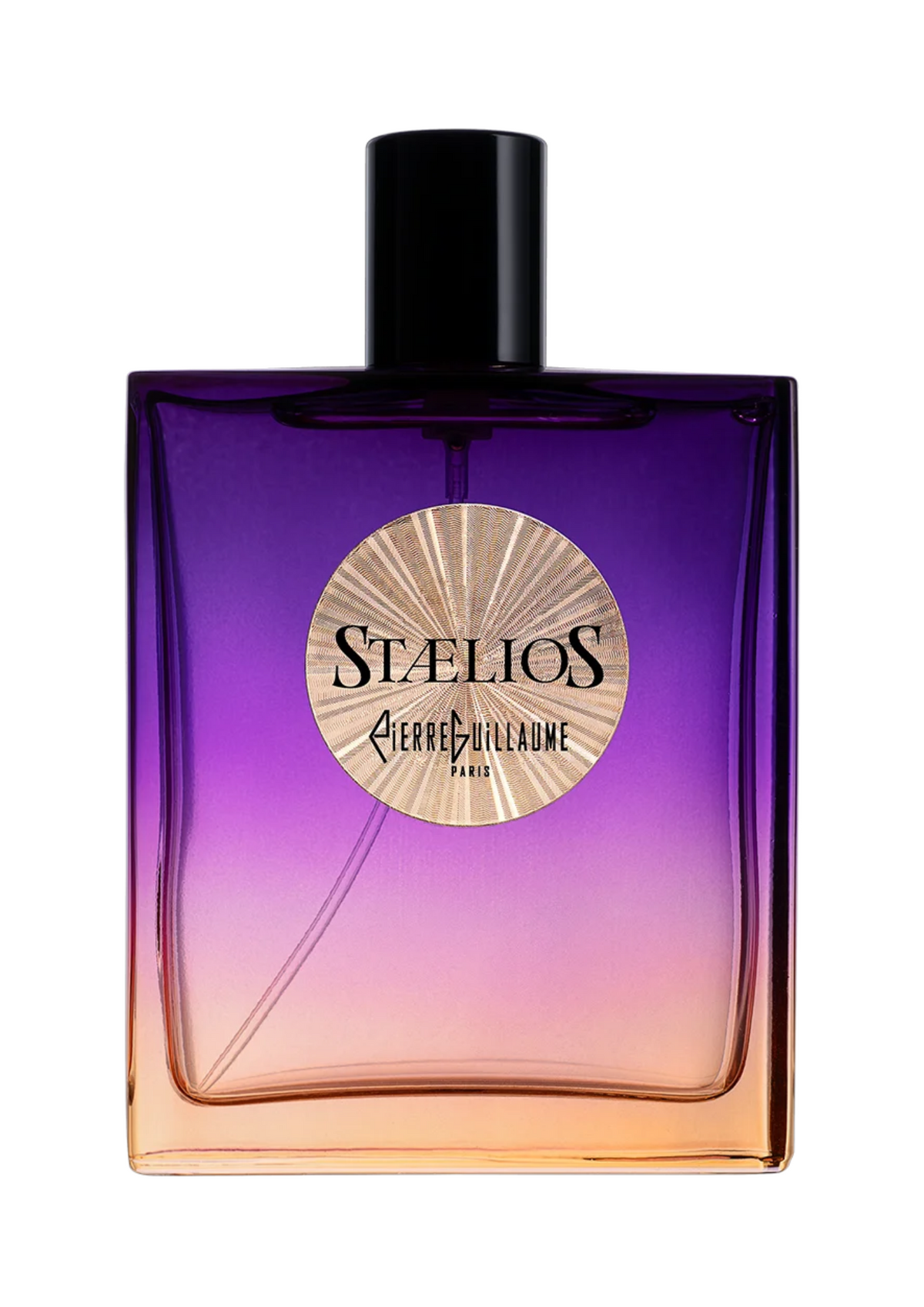 Pierre Guillaume Staelios Edp 100ml