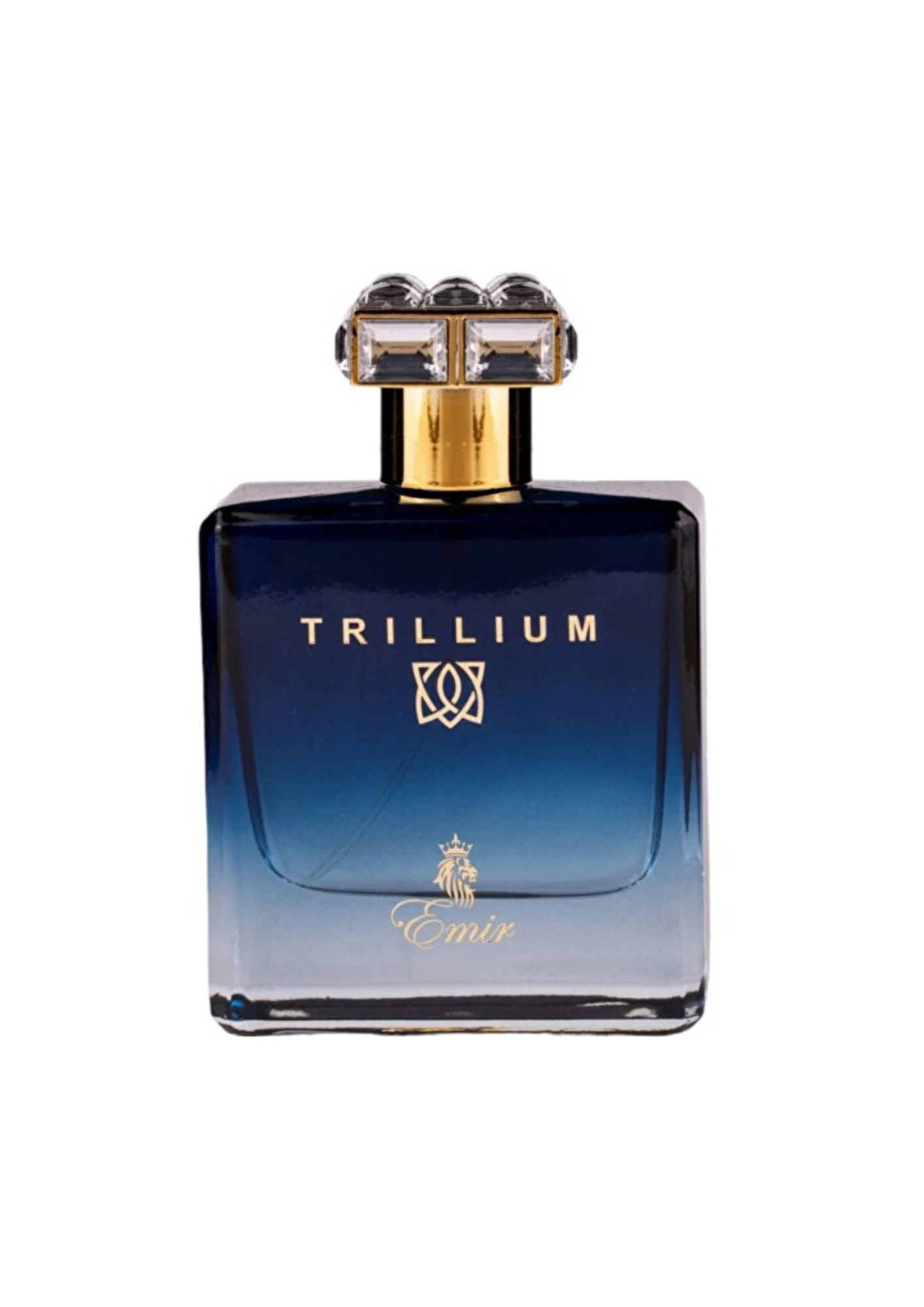 Paris Corner Emir Trillium Eau de Parfum Spray 100ml