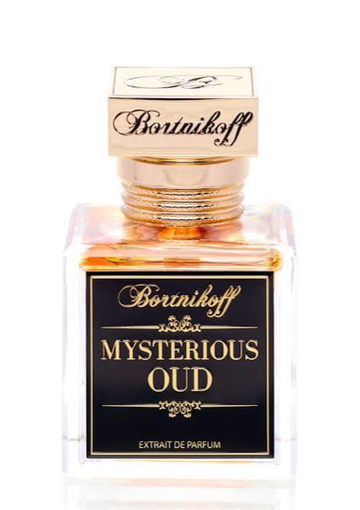 Bortnikoff Mysterious Oud Extrait 50ml