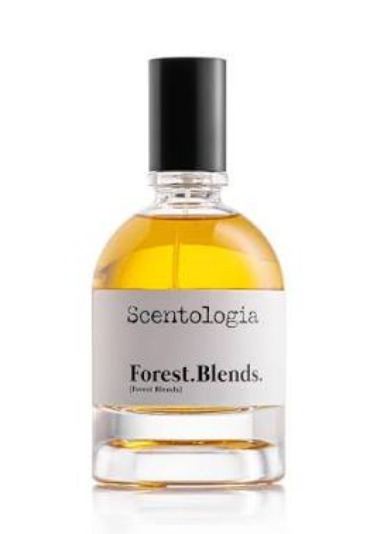 SCENTOLOGIA - FOREST BLENDS EDP 100ML