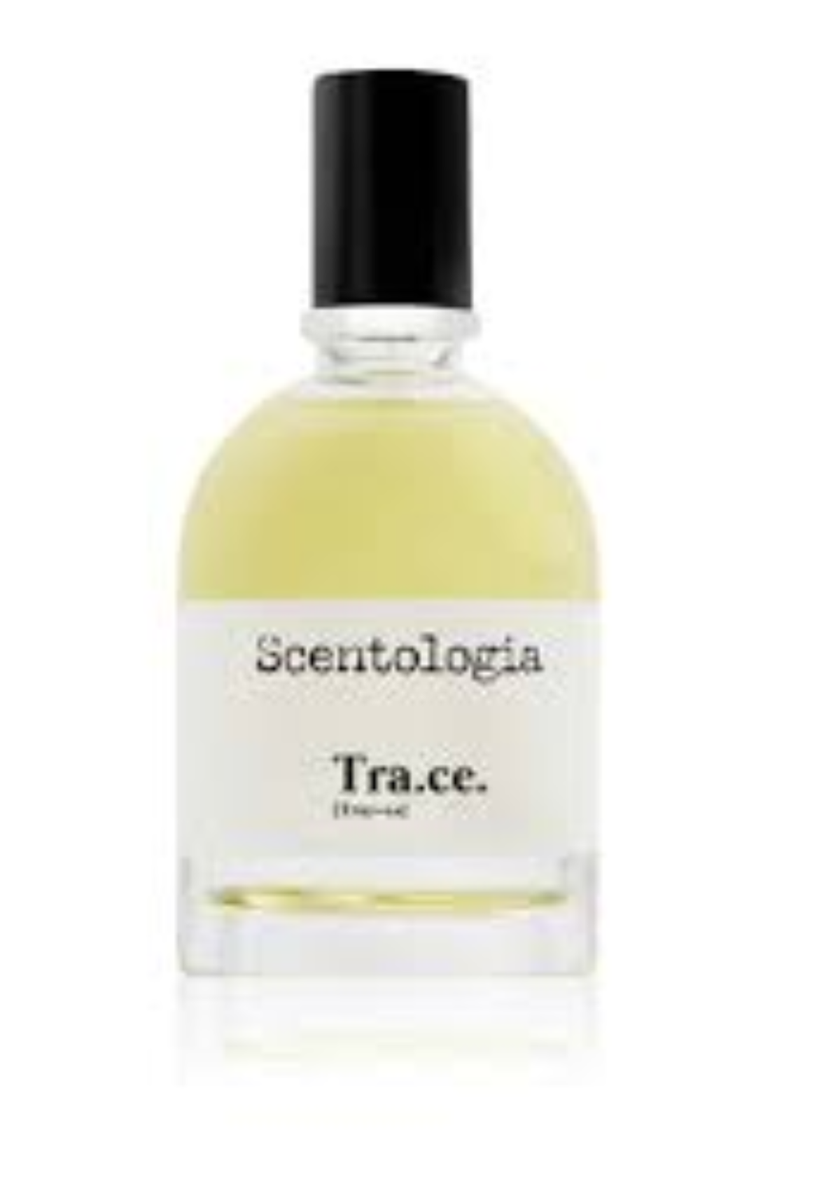SCENTOLOGIA - TRACE EDP 100ML