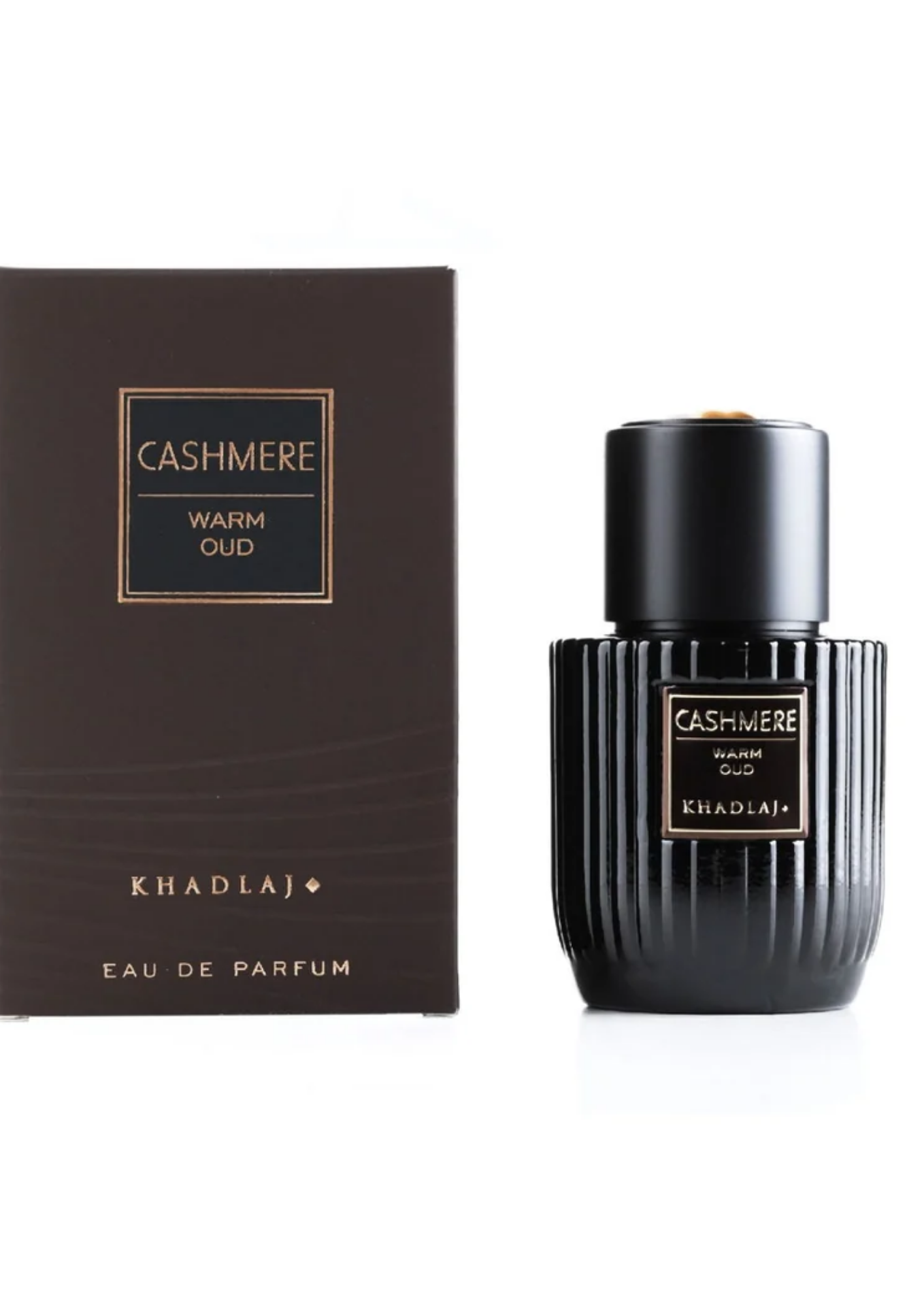 CASHMERE WARM OUD 100 ML EDP SPRAY