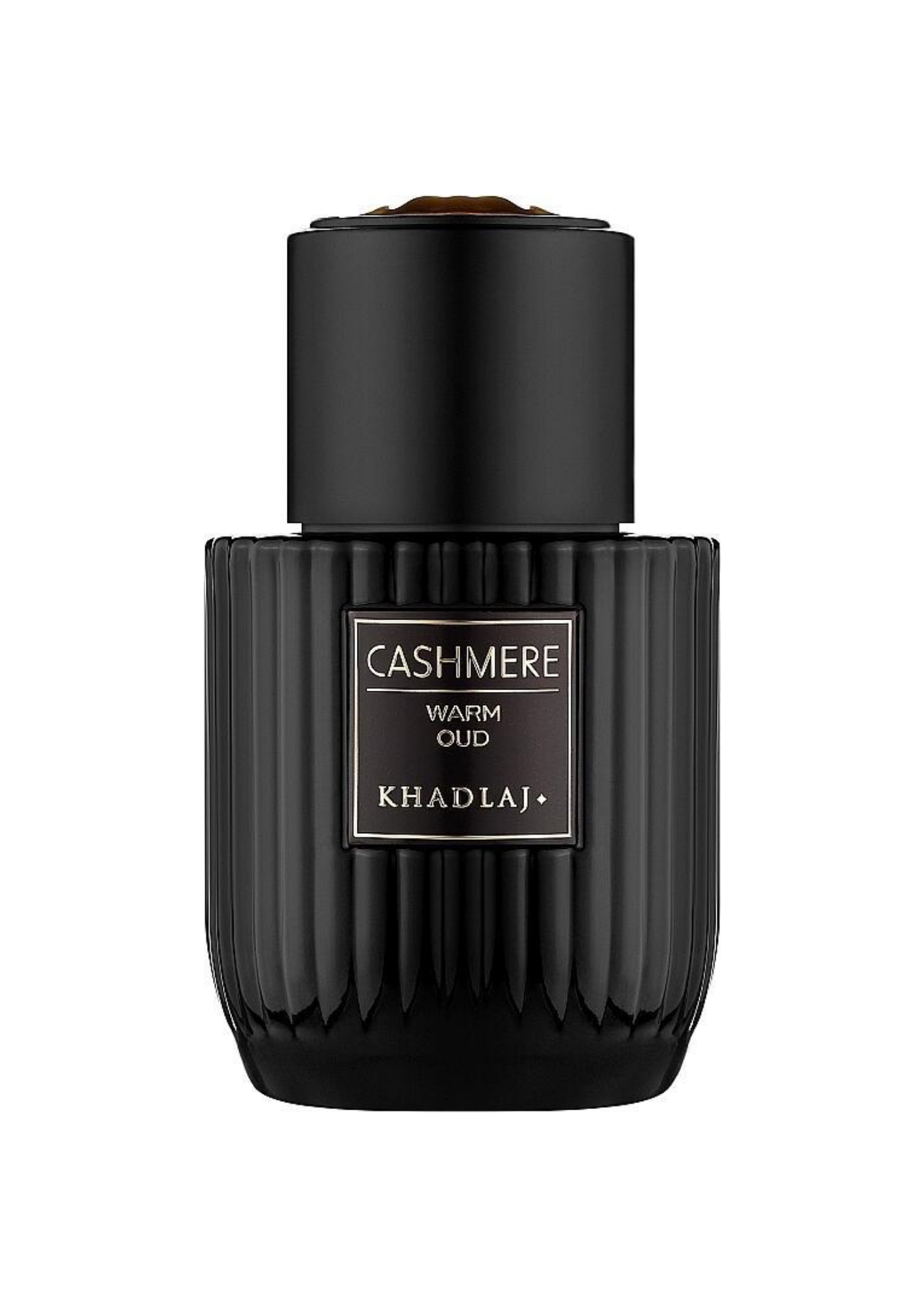 CASHMERE WARM OUD 100 ML EDP SPRAY